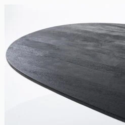 Eleonora eettafel Aron ovaal 300x110 zwart