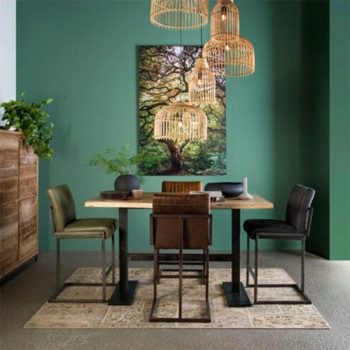 Ferro barstoel Savannah