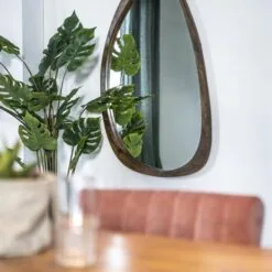 Spiegel Plecto bruin