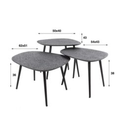 Arioni Salontafel set van 3 organisch metallic / zwart
