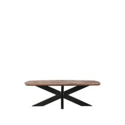 Salontafel Zayn Espresso Mangohout