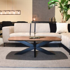 Salontafel Zayn Espresso Mangohout