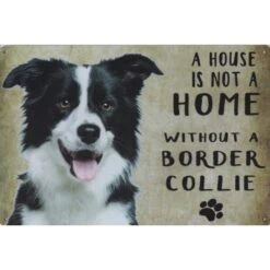 A home Border Collie - metalen bord