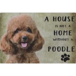 A home Poodle - metalen bord