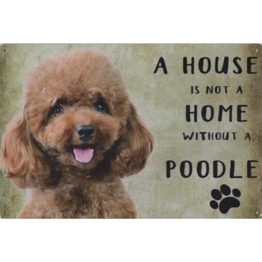 A home Poodle - metalen bord