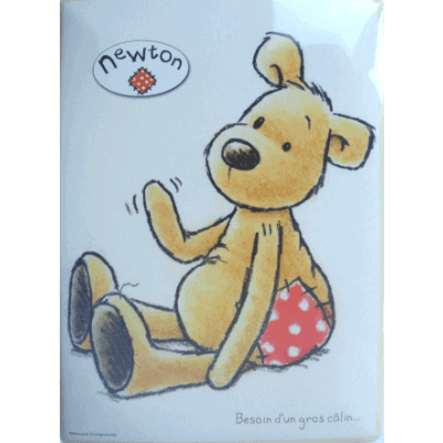 Newton zit - metalen bord