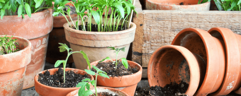 kleine tuin inrichten