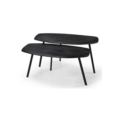 Rolida organische salontafel set van 2 mangohout zwart (op=op deal)