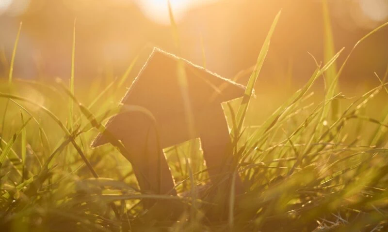 Woontrend 2025: Een duurzaam interieur creëren in 5 stappen