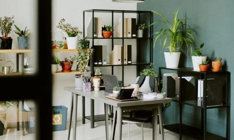 Biophilic Design: De groene interieurtrend