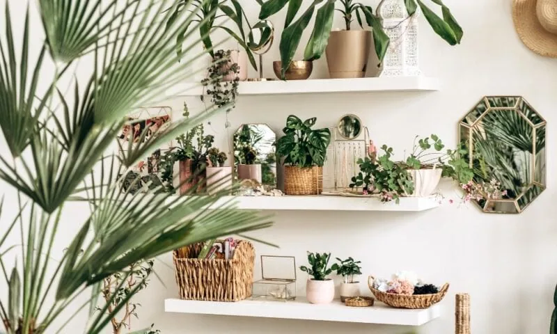 Biophilic Design: De groene interieurtrend