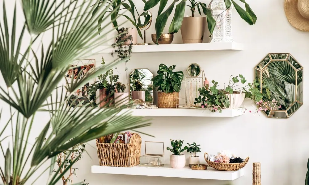 Biophilic Design: De groene interieurtrend