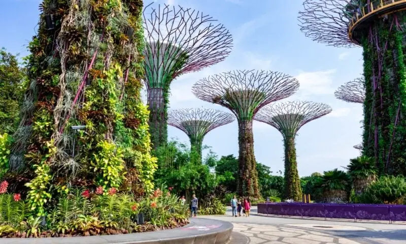 Biophilic Design: De groene interieurtrend