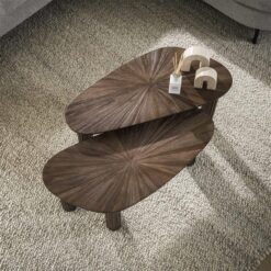 Jill Salontafel set van 2 hoekvormig Teakhout