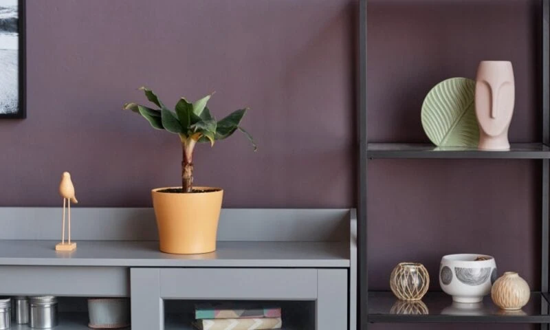Mauve kleur: Een stijlvolle trendkleur voor je interieur