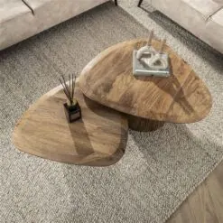 Jean Salontafel set van 2 driehoekig Mangohout