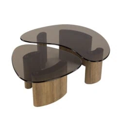 Dominick Salontafel set van 2 organisch Brons glas