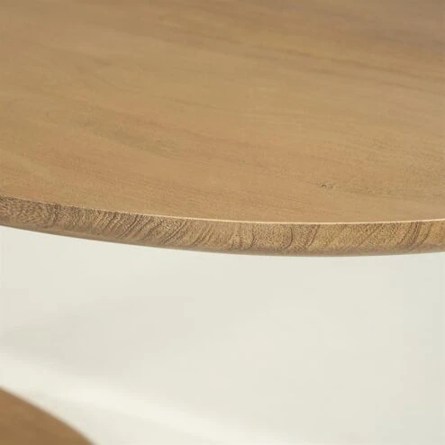 Eettafel Coco ovaal Naturel mangohout 300cm