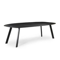 DPX Eettafel Vilda 200×105 zwart