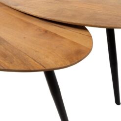 Morella Salontafel set van 2 organisch Mangohout