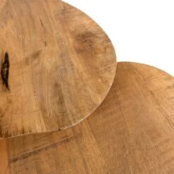 Noli Salontafel set van 2 organisch Mangohout