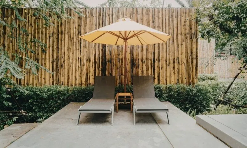 Terras inrichten: tips voor een gezellig terras met veel groen