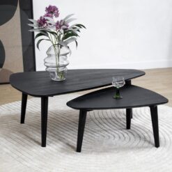 Salontafel Isla set van 2 zwart 110/71cm