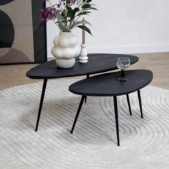 Salontafel Rosa set van 2 zwart 90/70cm