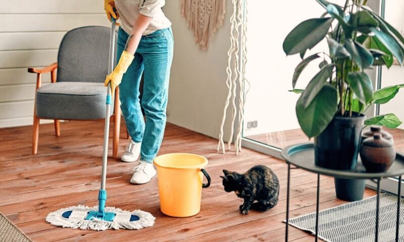 De ultieme voorjaarsschoonmaak checklist voor een fris huis